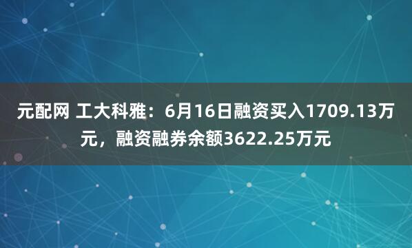 元配网 工大科雅：6月16日融资买入1709.13万元，融资融券余额3622.25万元