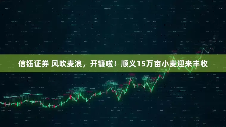 信钰证券 风吹麦浪，开镰啦！顺义15万亩小麦迎来丰收