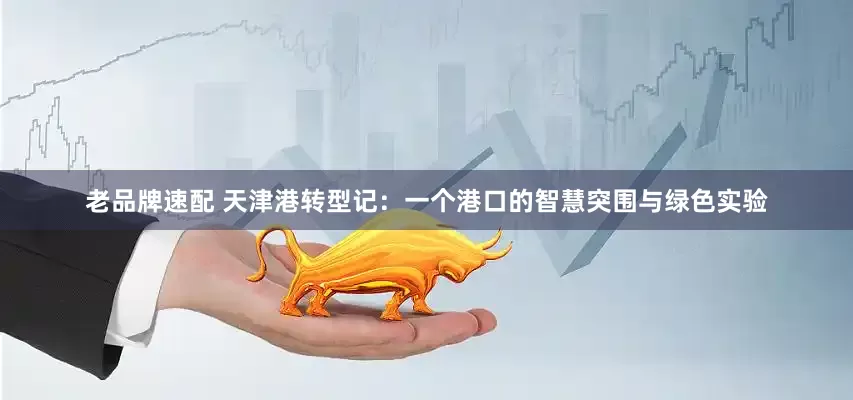 老品牌速配 天津港转型记：一个港口的智慧突围与绿色实验