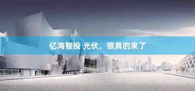 亿海智投 光伏，狼真的来了