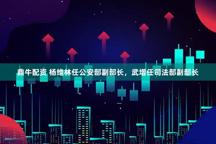 鼎牛配资 杨维林任公安部副部长，武增任司法部副部长