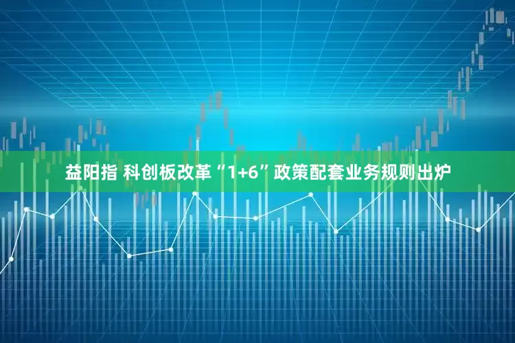益阳指 科创板改革“1+6”政策配套业务规则出炉