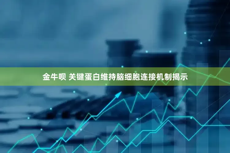 金牛呗 关键蛋白维持脑细胞连接机制揭示