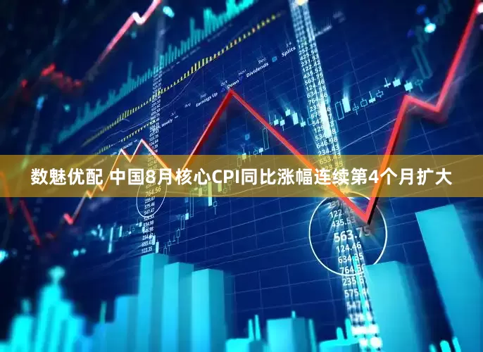 数魅优配 中国8月核心CPI同比涨幅连续第4个月扩大