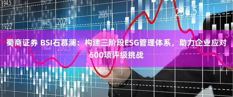 蜀商证券 BSI石慕澜：构建三阶段ESG管理体系，助力企业应对600项评级挑战